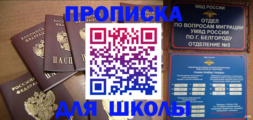прописка гарантия в Бородино
